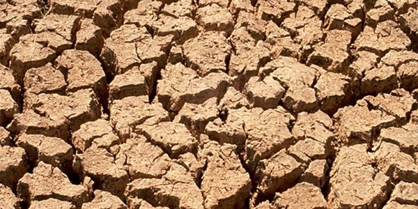 Agri NK praat oor uitdagings Agri NK praat oor uitdagings | News Article