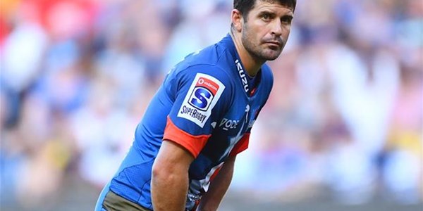 Steyn rested for Juksei derby Steyn rested for Juksei derby | News Article