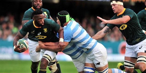 Springboks host Pumas in Rugby Championship return Springboks host Pumas in Rugby Championship return | News Article