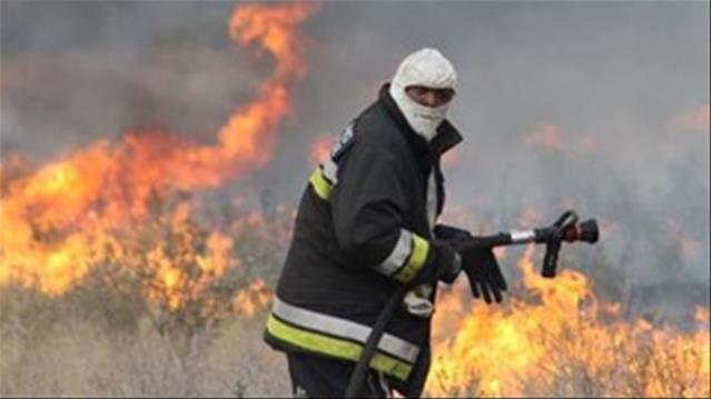 Several fires reported in Free State | News Article