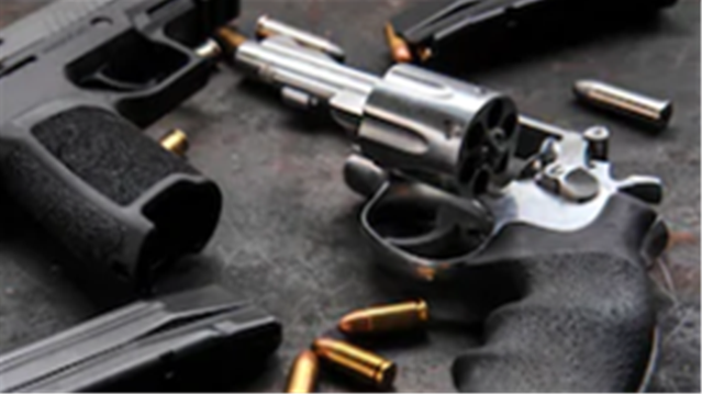 Diminishing SA’s right to bear arms ‘madness’ | News Article