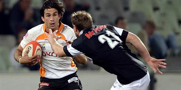 Ebersohn a Cheetah again | News Article