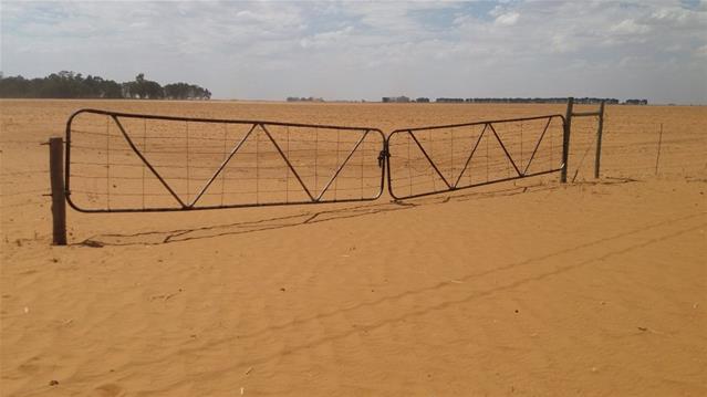 Interventions in drought-plagued NC | News Article