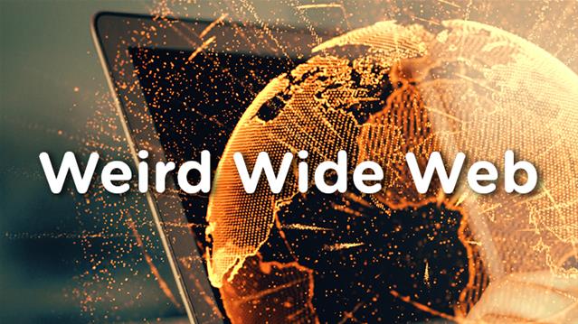 Weird Wide Web - Pivot | News Article
