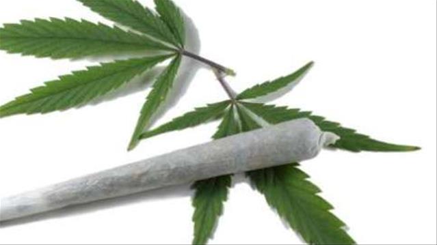 Major SA dagga supplier granted bail in NW | News Article