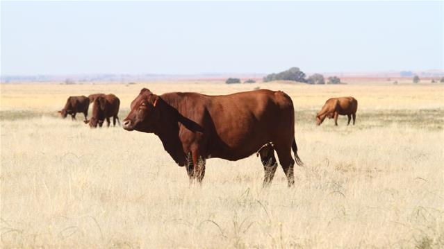 How farmers can apply for funding through Section 12J  | News Article