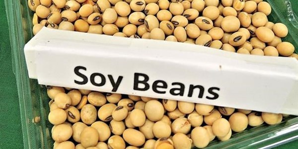 Agri-Uur: Jongste Safex-nuus Agri-Uur: Jongste Safex-nuus | News Article
