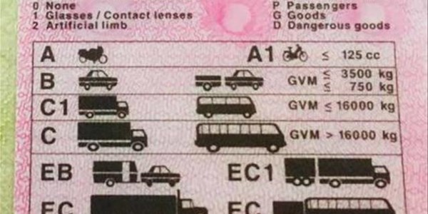 New SA Driving Licence: e-service system introduced | News Article
