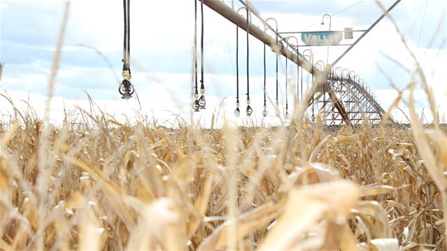 Agri-Uur: Jongste Safex-nuus | News Article