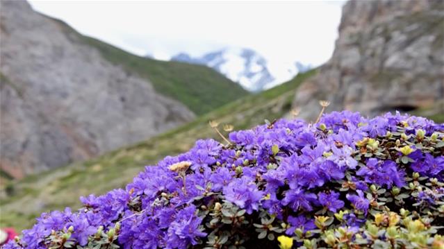 Alpine research and its effect on water provision for farmers | News Article