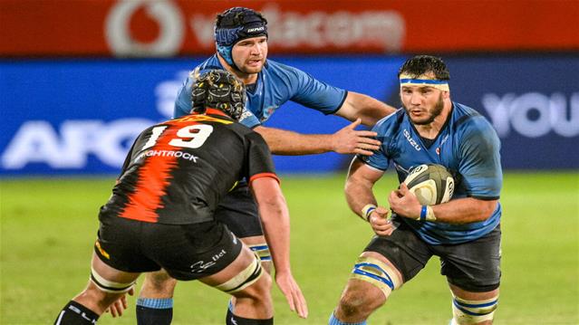 Eyes of the South, and the North, on the Bulls | News Article