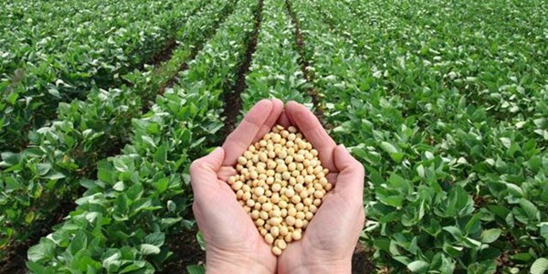 Agri-Uur: Jongste Safex-nuus Agri-Uur: Jongste Safex-nuus | News Article