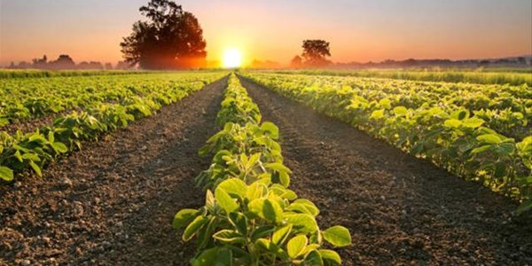 #OFMBusinessHour: Stakeholder collaboration is the key to land reform success #OFMBusinessHour: Stakeholder collaboration is the key to land reform success | News Article
