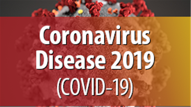 SA records 11,767 new #Covid19 cases | News Article