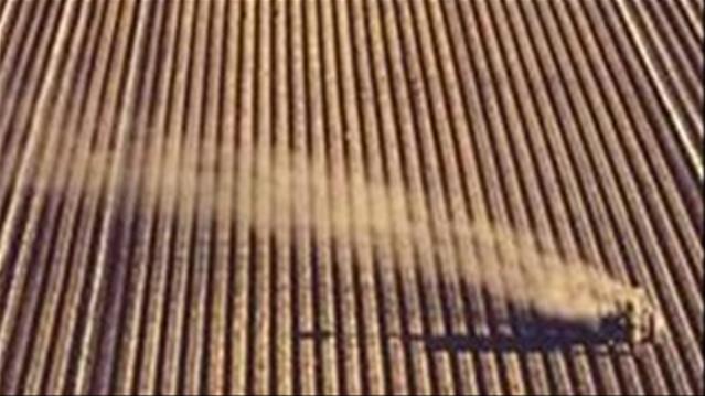 Agri-Uur: Jongste Safex-nuus | News Article