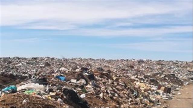 Youth in Bloemfontein turn to waste dumps to make a living | News Article