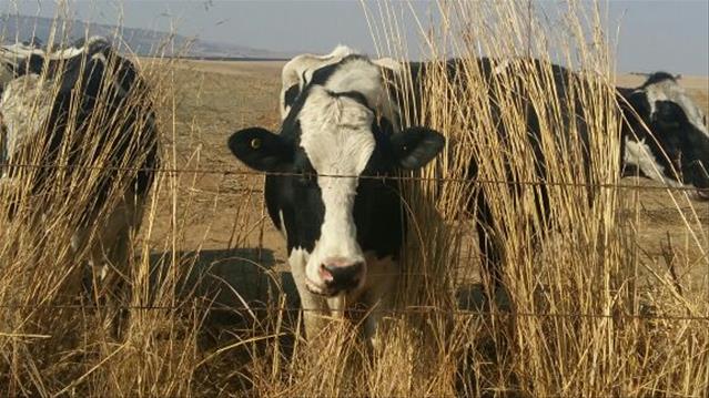 FS MEC sheds light on latest developments regarding #Vrede | News Article