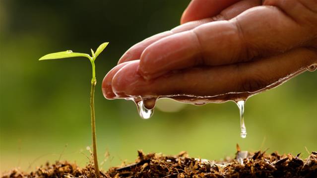 NC celebrates Environment Month   | News Article