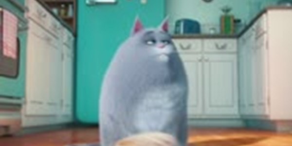 Movie Report: 'The Secret Life of Pets' | News Article