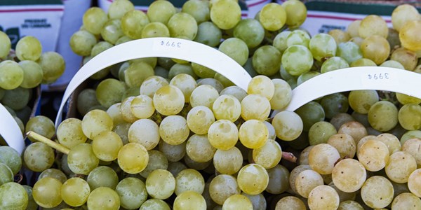 Earth Day: Food habits to help save the world Earth Day: Food habits to help save the world | News Article