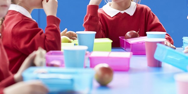 School packed lunches deemed unhealthy | News Article