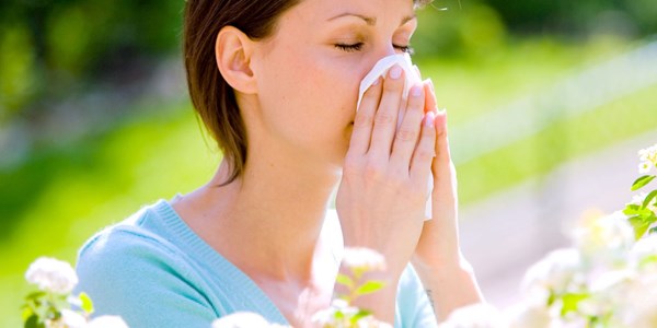Help hay fever with saltwater | News Article