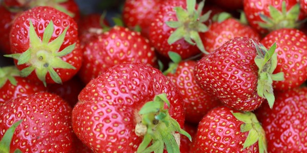 Superfoods: The raw power of strawberries Superfoods: The raw power of strawberries | News Article