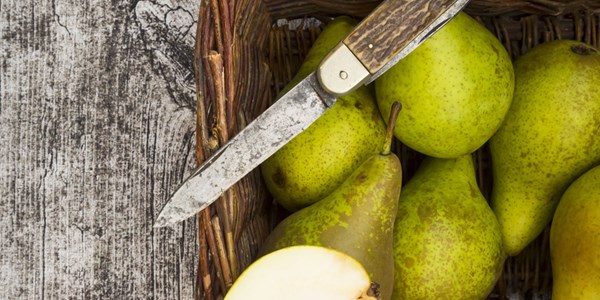 Pear back your hangovers Pear back your hangovers | News Article