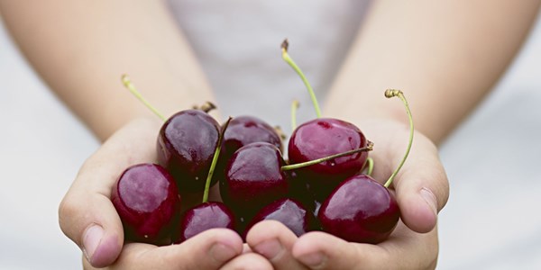Foods to boost your everyday health Foods to boost your everyday health | News Article
