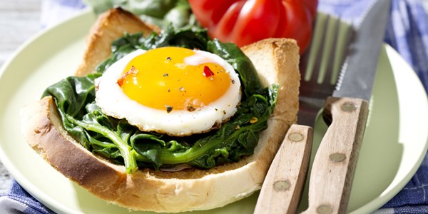 Pack a protein punch with your diet Pack a protein punch with your diet | News Article