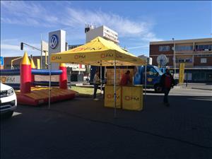 #WildWeekend live from Lindsay Saker Bloem