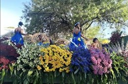 Free State Madeira Flower Festival 2019