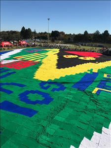 Home Page Gallery Image