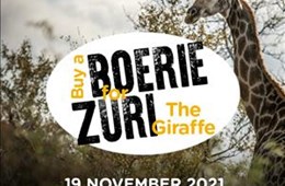 Reizis Square: Boerie for Zuri outdoor broadcast 19 November 2021