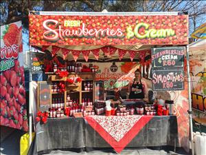 Home Page Gallery Image