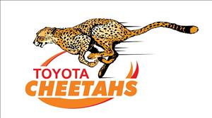 Home Page Gallery Image