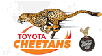 Feel the roar of Cheetahs rugby!