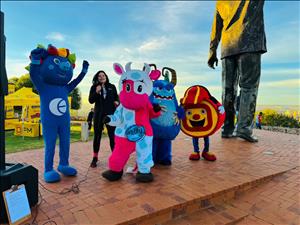 Bloem Show/Naval Hill City Run